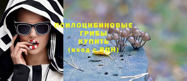 spice Михайловск