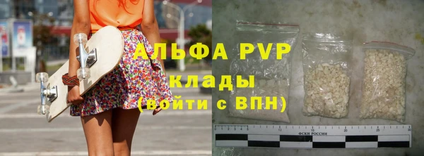 прущие грибы Мегион