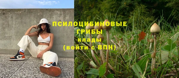 прущие грибы Мегион