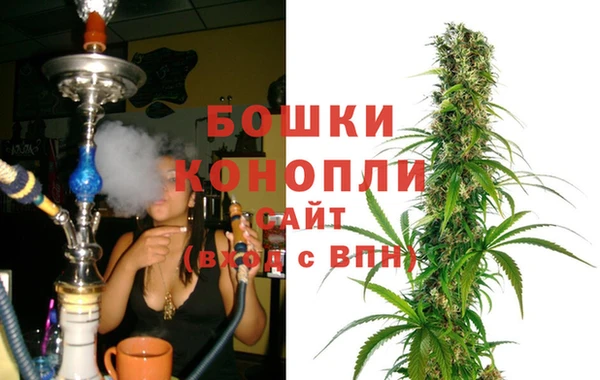 прущие грибы Мегион