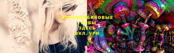 прущие грибы Мегион