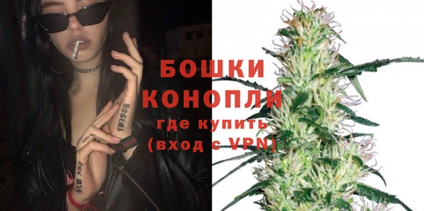 прущие грибы Мегион